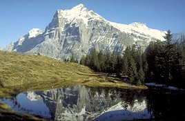 Grindelwald Bergsee mit Wetterhorn