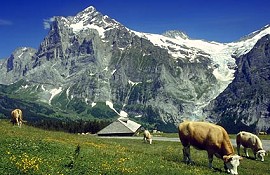 Grindelwald Sommer