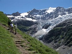 Grindelwald Wanderweg Baeregg