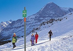Grindelwald Kleine Scheidegg Männlichen