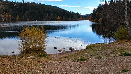 Hinterzarten, Mathisleweiher