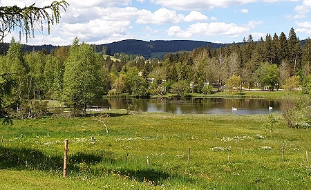 Hinterzarten, See beim Hotel Adler