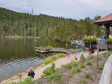 Urlaub in einer Ferienwohnung mit Hund im Schwarzwald - Blick auf den Mummelsee