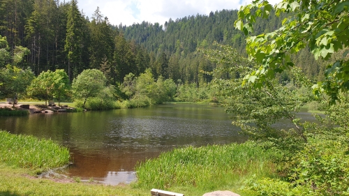 Im Ferienhaus in Baiersbronn - Sankenbachsee