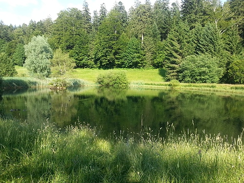 Sankt Märgen im Schwarzwald, idyllischer See Sankt Märgen im Schwarzwald, idyllischer See