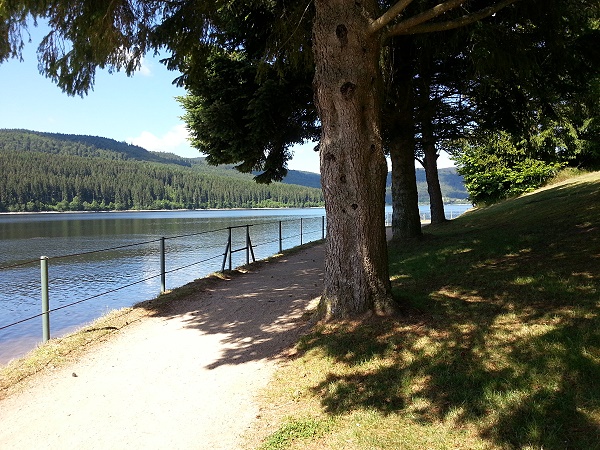 Der Schluchsee im Schwarzwald