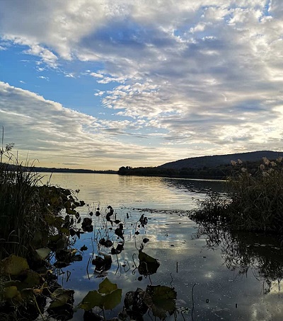 Urlaub in einer Ferienwohnung mit Hund  - Abendstimmung am Bodensee