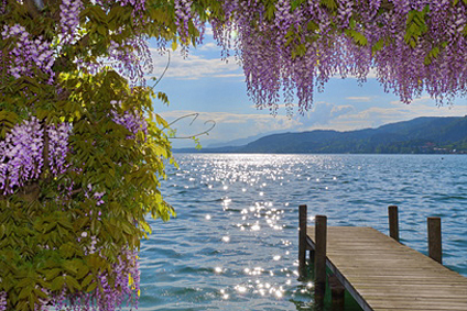 Ferienhaus Wörthersee, Kärnten