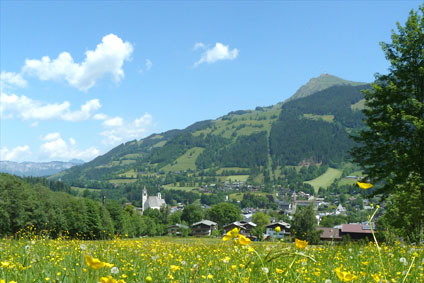 Ferienwohnung Kitzbüheler Alpen
