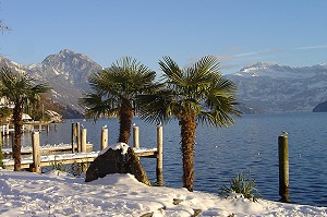 Vierwaldstättersee