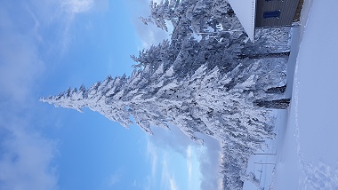 Winterstimmung im Allgäu