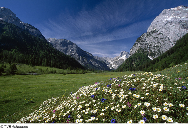 Natur Pur in der Region Achensee