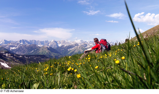 Landschaft und Natur in der Achensee Region