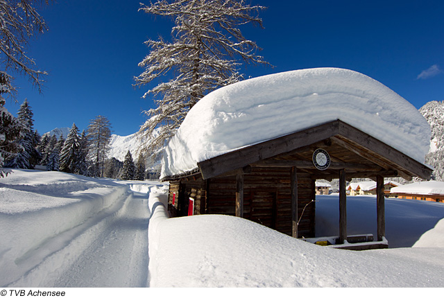 Winterwanderweg in Pertisau, Region Achensee