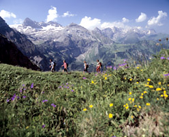 Adelboden wandern