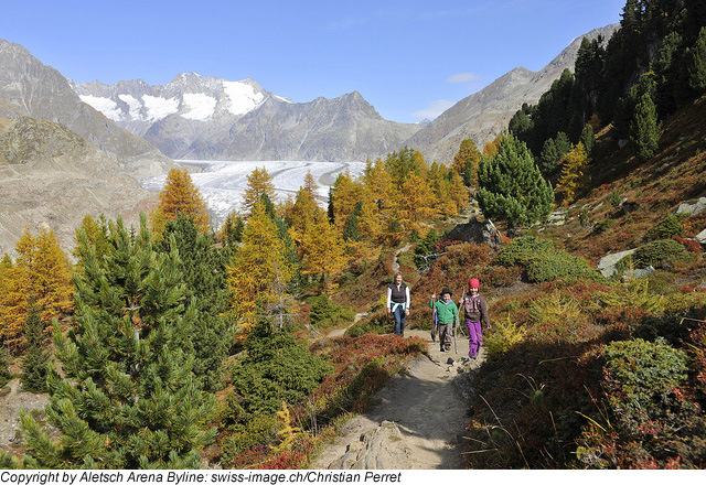 Sommerurlaub in der Aletsch Arena