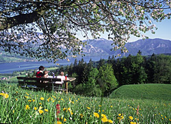 Wandern am Attersee