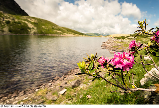 Wandern am Palfner See, Bad Gastein