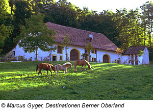 Freilichtmuseum Ballenberg, Berner Oberland