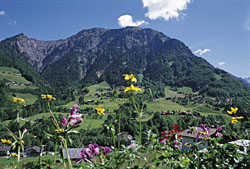 Panorama Dalaas im Klostertal