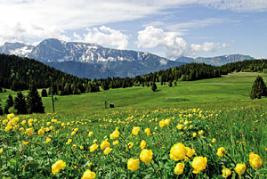 Chamrousse im Sommer