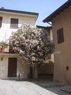 Moniga del Garda