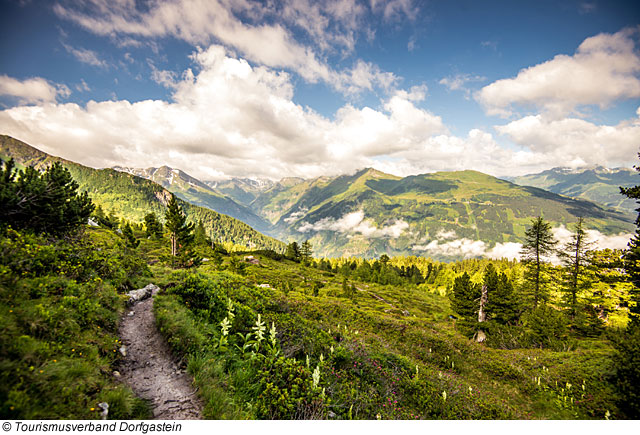 Blick auf das Gasteinertal im Sommer