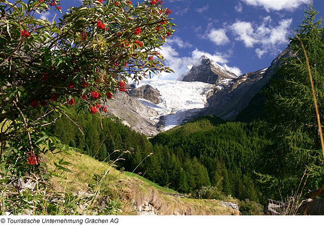 Grächen – Blick auf den Gletscher