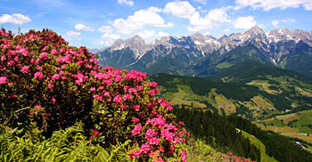 Die Region Hochkönig im Sommer