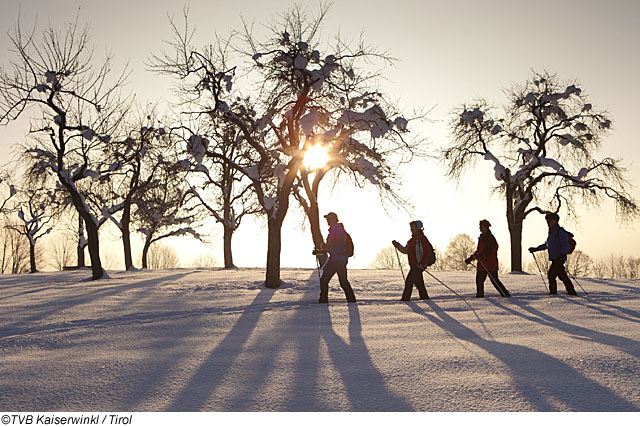 Winterwandern in der Ferienregion Kaiserwinkl