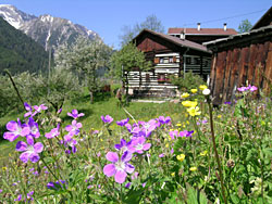 Holzgau im Lechtal