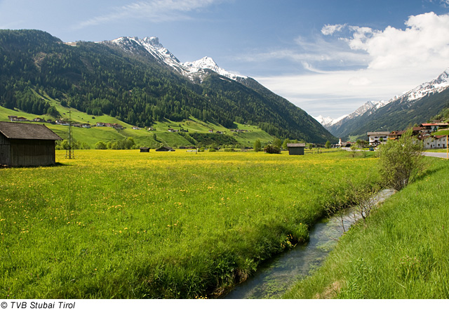 Neustift im Stubaital im Sommer