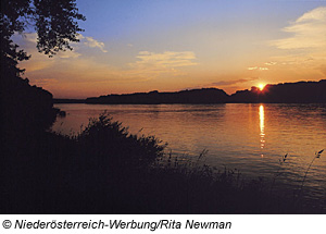 Sonnenuntergang in den Donau-Auen, Niederösterreich