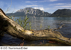 Blick auf den Attersee, Oberösterreich