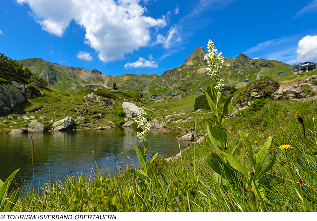 Obertauern im Sommer