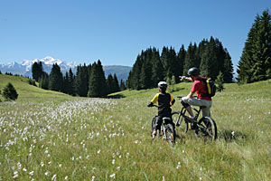 Mountainbiken in Portes du Soleil