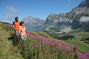 Wandern in Portes du Soleil