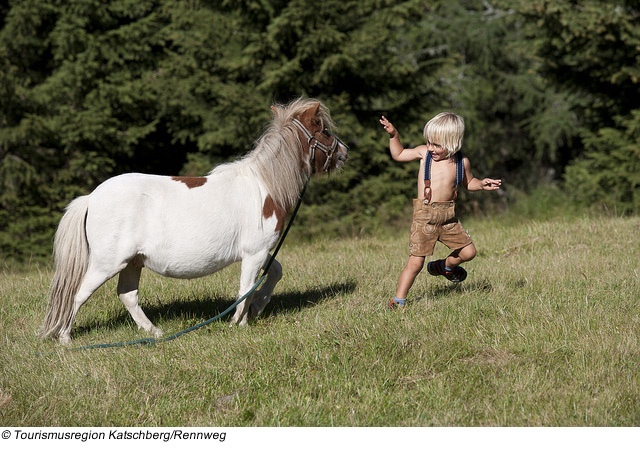 Pony-Alm in Rennweg am Katschberg