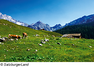 Kallbrunnalmen Weißbach bei Lofe, Salzburgerland