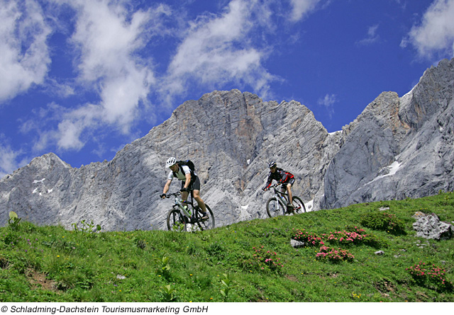 Mountainbiker in Schladming-Dachstein