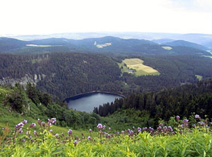 Blick auf den Feldsee