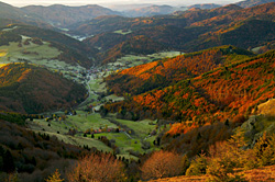 Blick vom Belchen