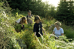 Wandern im Schwarzwald