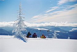 Todtnauberg im Winter