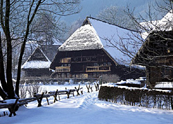 Vogtsbauernhof im Schwarzwald