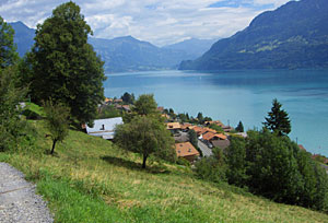 Blick auf den Brienzersee, Goldswil