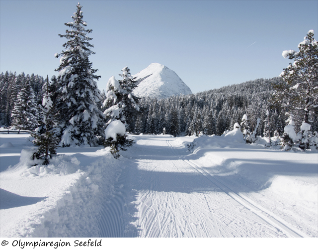 Langlaufen in der Olympiaregion Seefeld