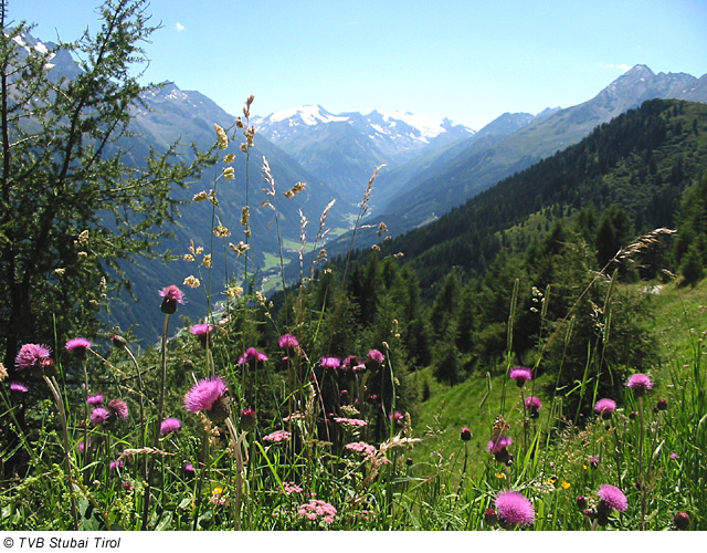 Wunderschöne Landschaft im Stubaital