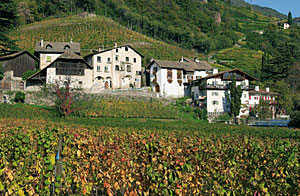 Südtirol, Hof in Bozen