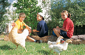 Ferien auf dem Bauernhof in Südtirol